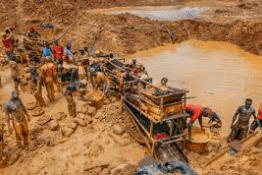 Impact of galamsey on cashew sector alarming!