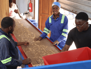 Breaking barriers: A woman’s path from countryside to career 