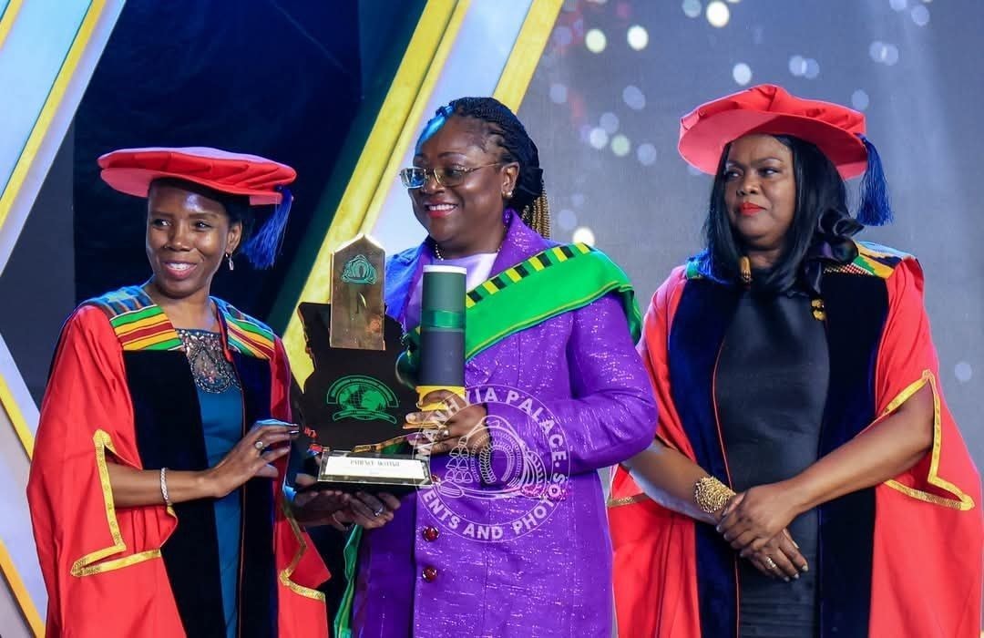 Otumfuo Osei Tutu II honours Hollard Group CEO