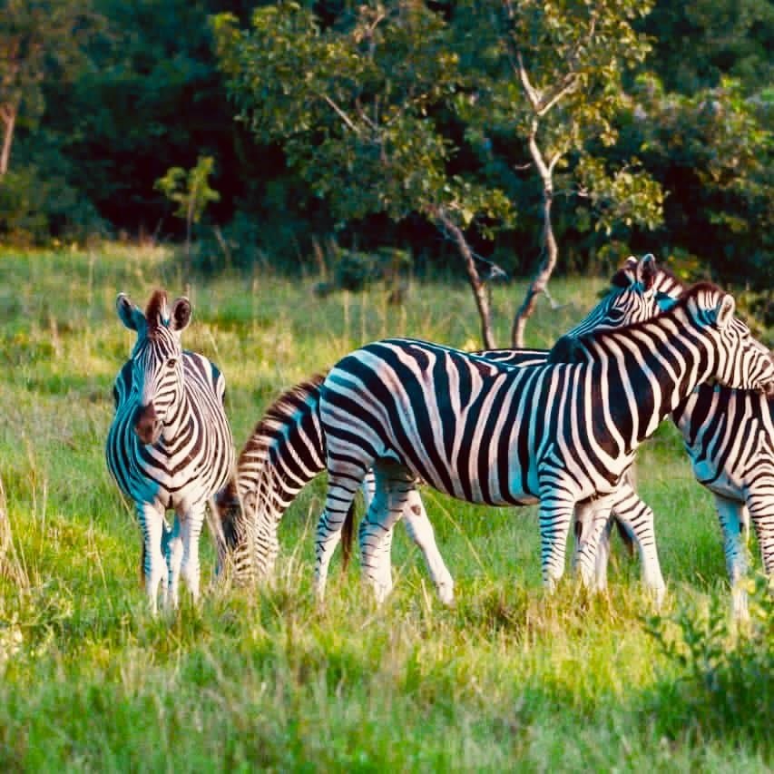 Roadtrip: “Ad.ventucre.scape!” to the play park, wildlife sanctuary and an eco camp retreat at Blue Island on Lake Volta. 