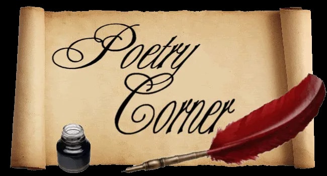 POETRY CORNER WITH KWESI BISSUE: Like Who?