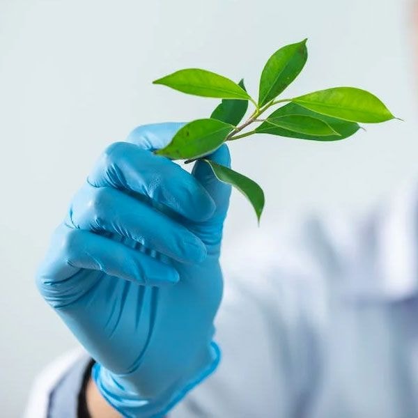 IFRS S1 & S2: Roadmap to mandatory sustainability disclosure