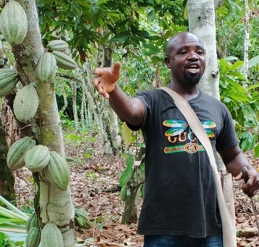 Cocoa Barometer 2025 warns of deepening farmer poverty despite record prices