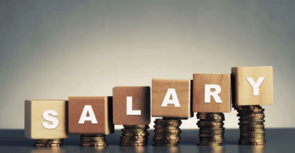 Unequal pay in public service: The alarming disparity in CEO salaries in state institutions