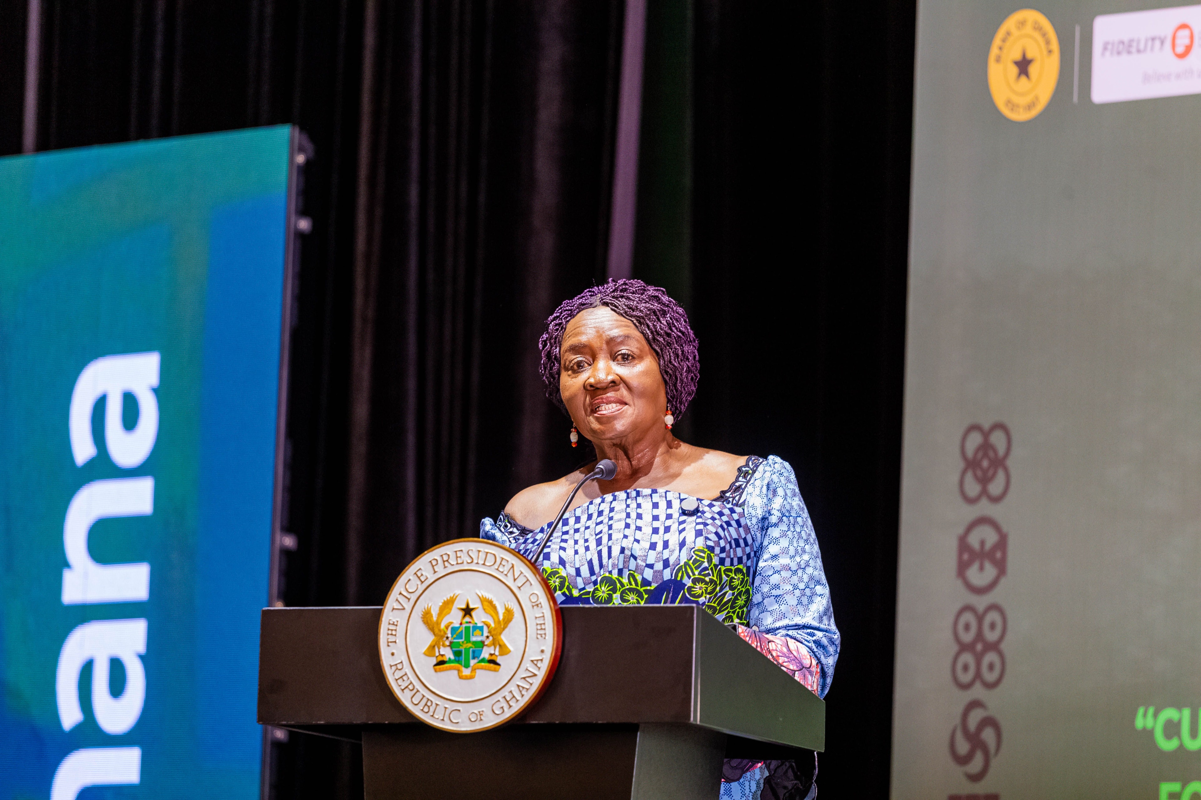 Short-term comfort must not come at cost of long-term resilience – Veep, says stability is not a gift