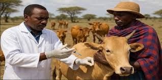  Editorial: Mass departure of veterinary doctors exposes country to zoonotic disease threats