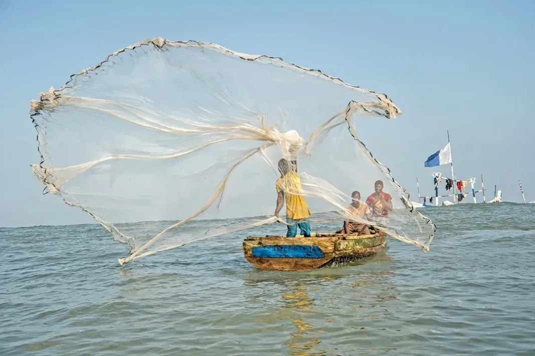 The Gulf Corridor: Climate resilience and the future of West African fisheries