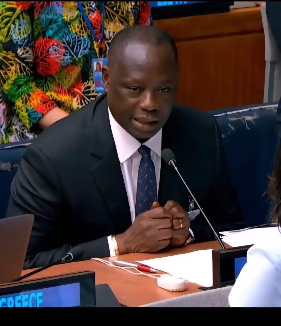 Ghana leads Africa in forest reforms, secures global spotlight at UN