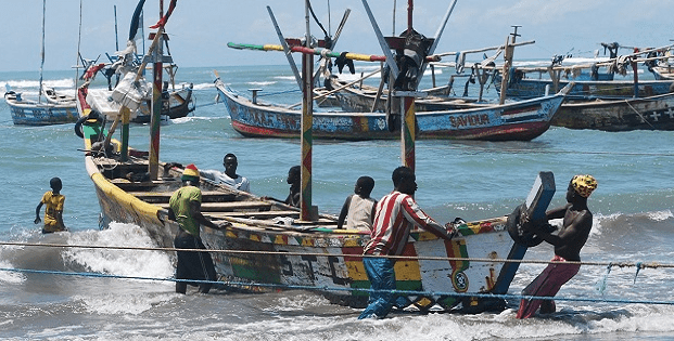 Over 80% fishers recognise ‘closed season’ as scientific-based