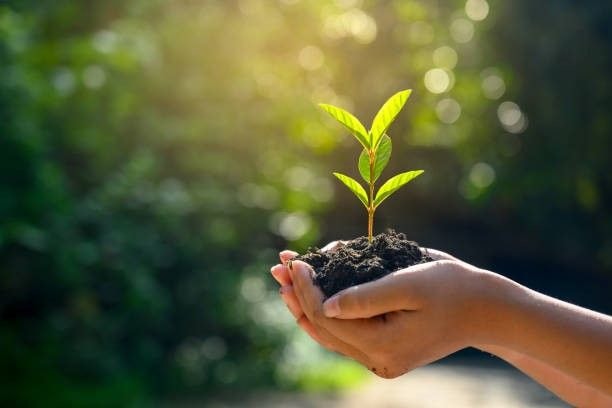 Editorial: When the environment speaks and we cover our ears