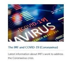 COURAGE UNDER FIRE:   Policy responses in emerging market and developing economies to the COVID-19 pandemic