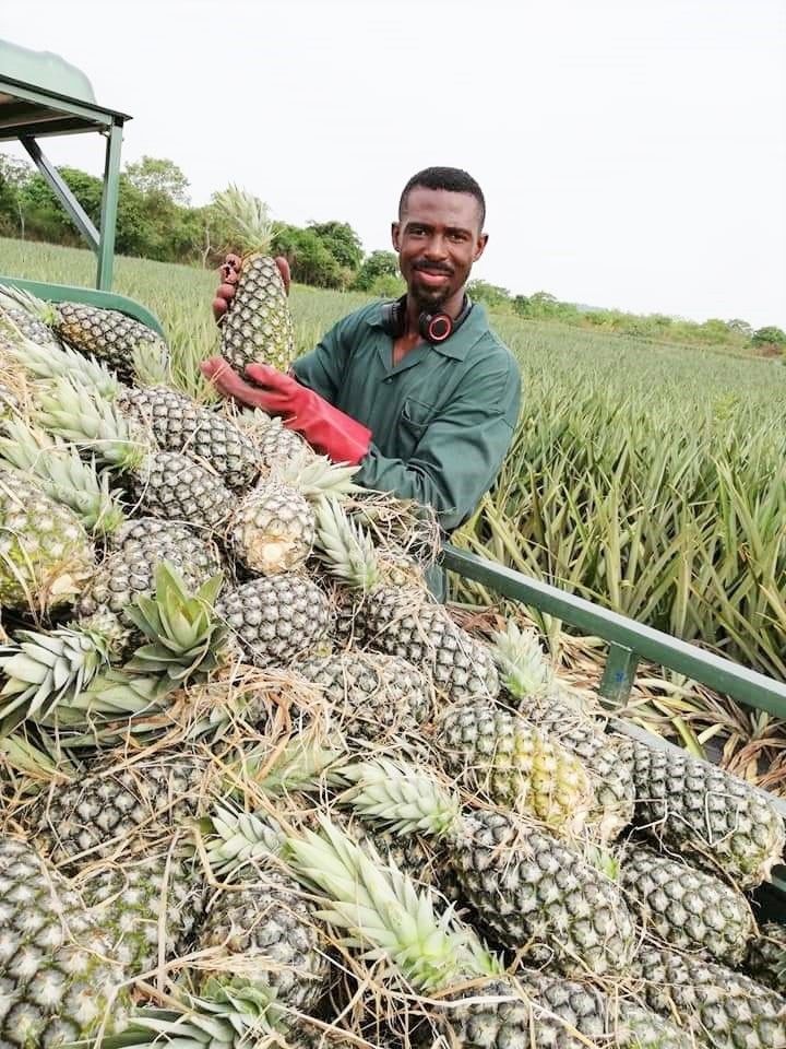 Inspiring Start-ups: I want to be an example for the youth … as told by a young graduate farmer