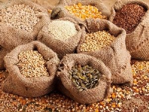 CSOs call on gov't, political parties to empower local seed industry