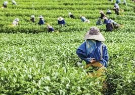 Extreme poverty rises and a generation sees future slip away