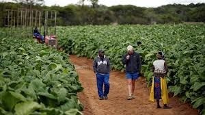 UDS, UK/ECOWAS collaborate to establish food systems and export network