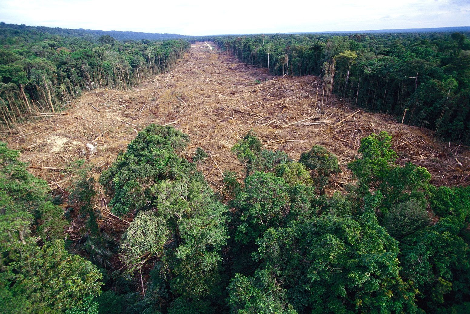 Ghana pushes ahead with efforts to reduce emissions from deforestation