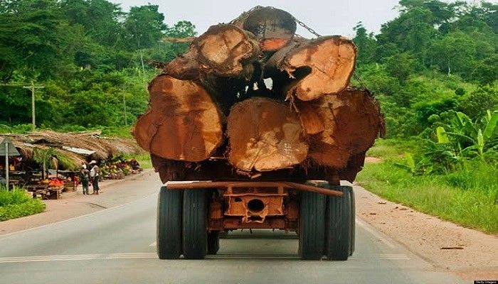Ghana to miss Dec. 2020 target to issue Timber legality Licenses due to COVID 19