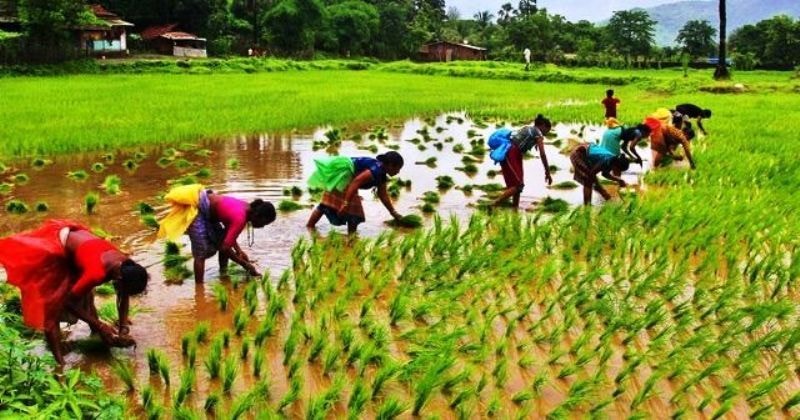 Agric value chain actors urged to find sustainable approaches to make the sector resilient