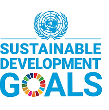 Addressing the impact of COVID-19 through SDGs