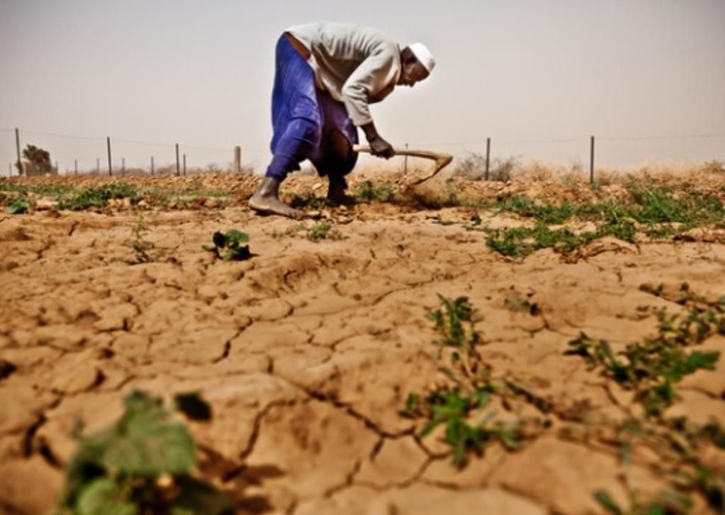 Ensuring food security demands change in fundamentals of production – Experts  