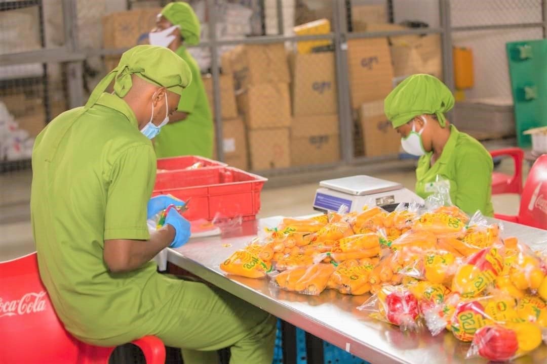 UNDP engages the private sector to unlock investments for SDGs attainment