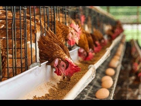USDA-GPP, GSA partner to ensure standardization for ESAG
