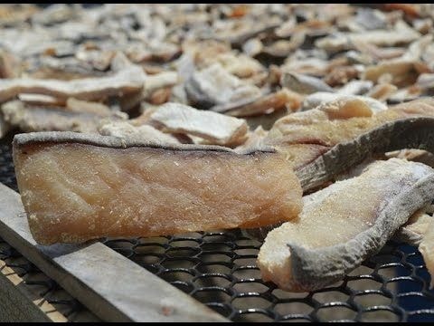Suspend the consumption of ‘kako’ for now – FDA advises