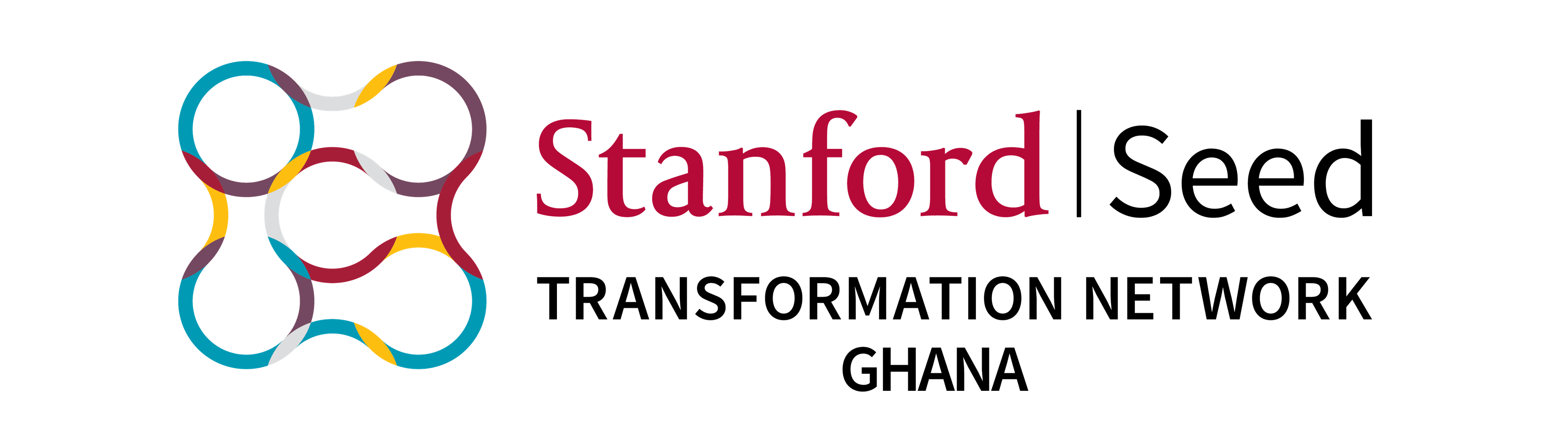 STN top CEOs to mentor young leaders and entrepreneurs