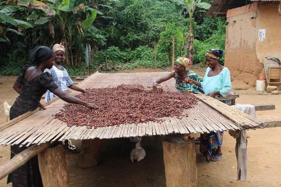 Cadbury Farmer Resilience Fund supports thousands of women