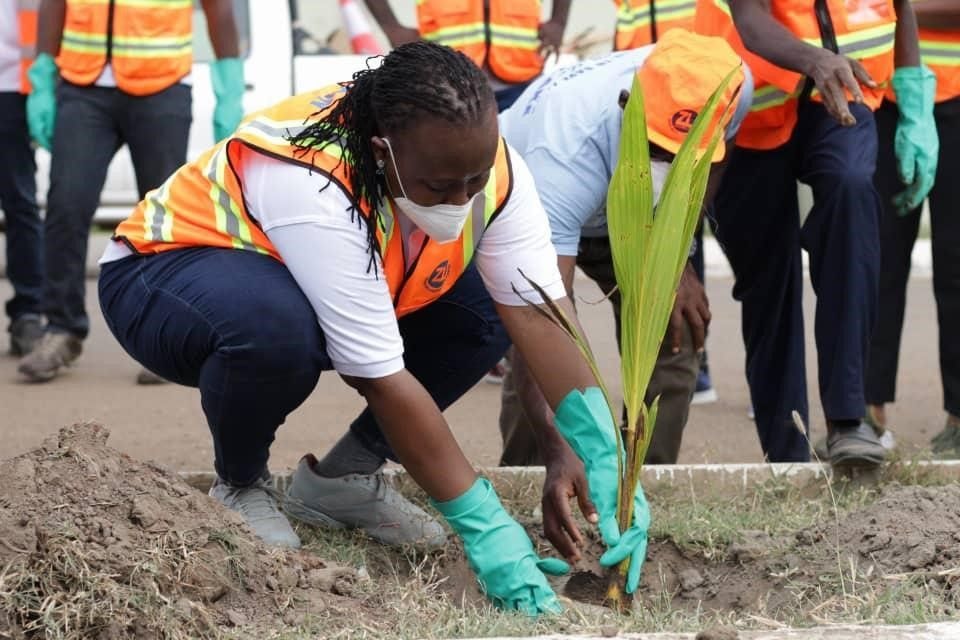 Zoomlion plants trees, cleans environment