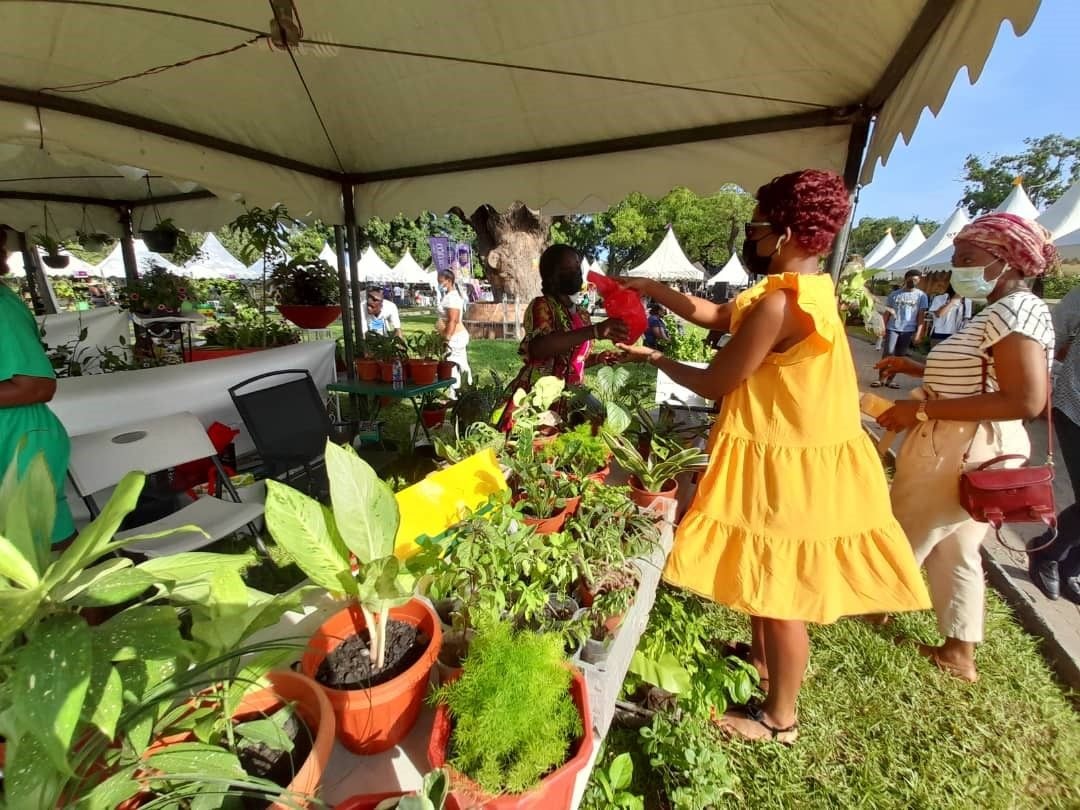 9th Garden and Flower Show slated for Aug 25