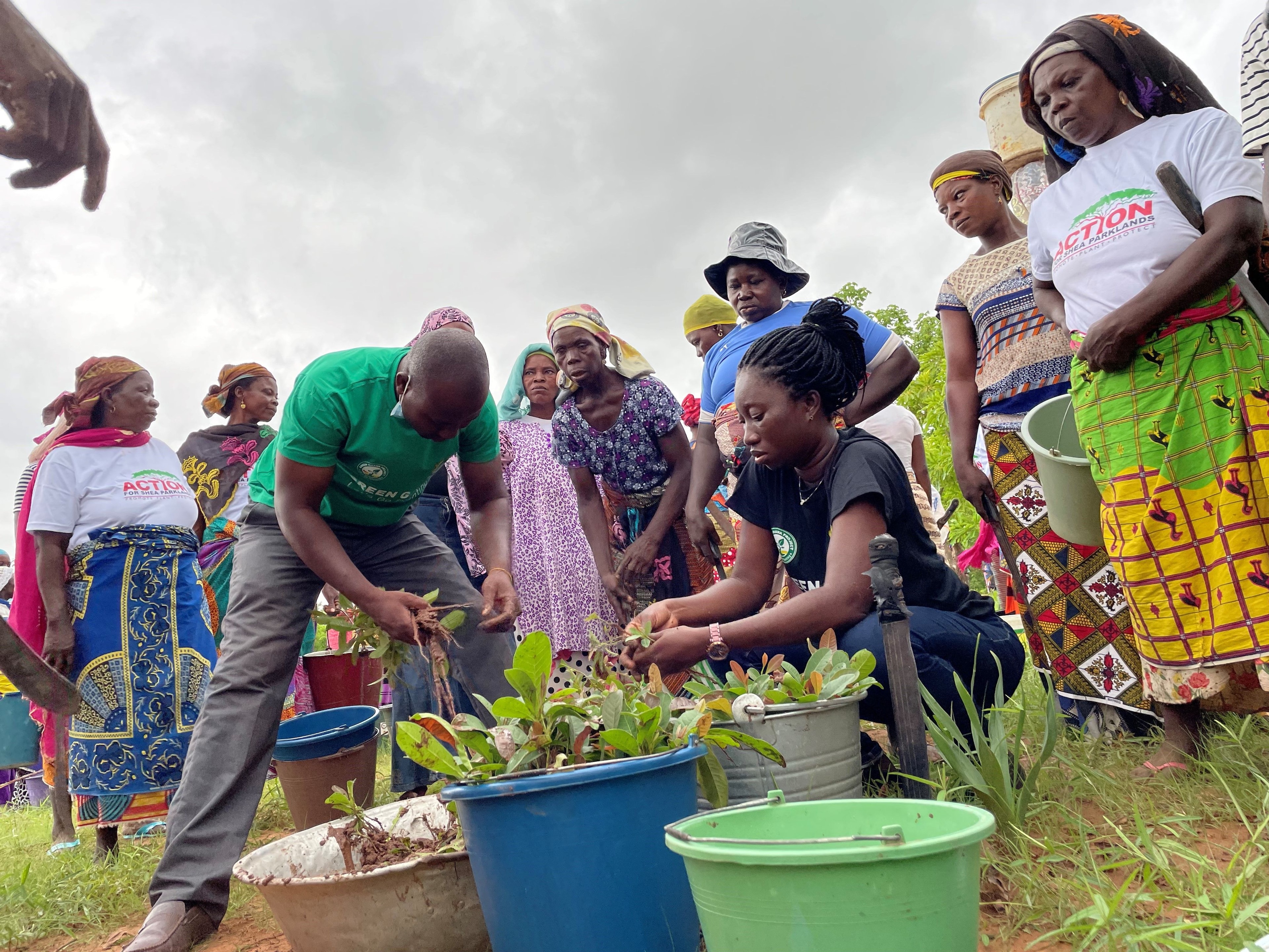  GSA grows 1,300 shea trees to support Green Ghana Initiative
