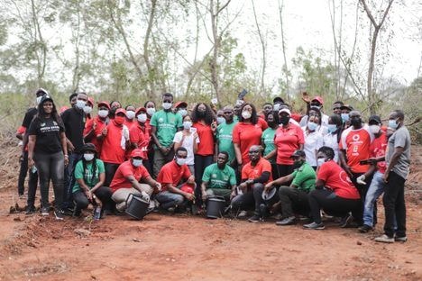 Vodafone plants 4,000 trees throughout the month of June