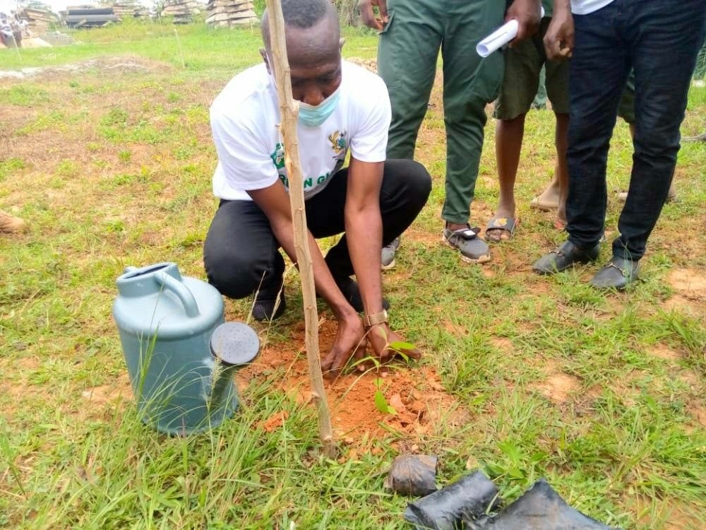 Adansi Akrofuom DCE, MP join forces to grow 9,000 trees