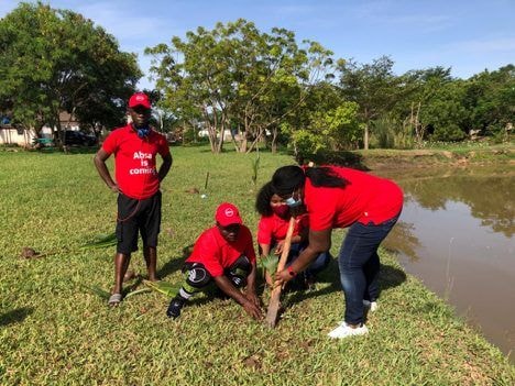 Absa Bank joins 5m tree planting initiative