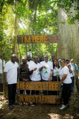 MoTAC, GTDC reopens ‘Big Tree’ tourist site