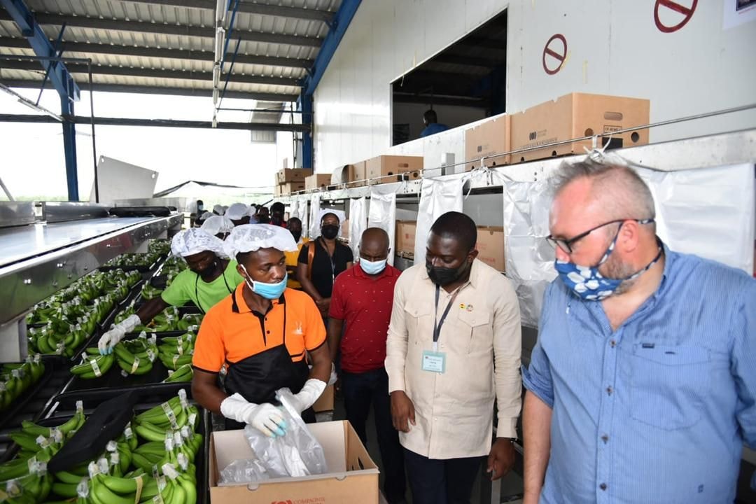 Gov’t targets US$25bn in NTEs by 2030 – Herbert Krapa