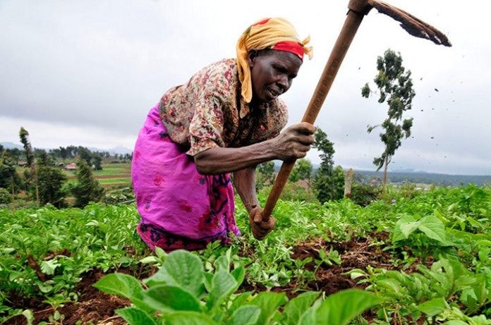Expansion of irrigation schemes, agric infrastructure at risk