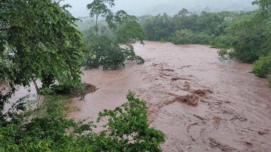 Climate change-induced heavy rainfalls threatens cocoa production