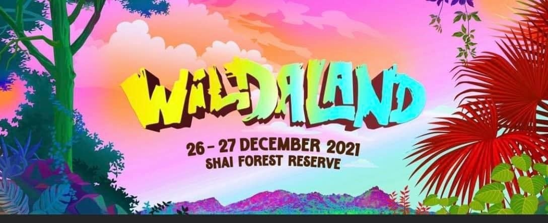 #YHolidayHavoc: WILDALAND brings Davido, Stonebwoy, R2Bees and over 20 top acts to Africa’s ‘Glastonbury’