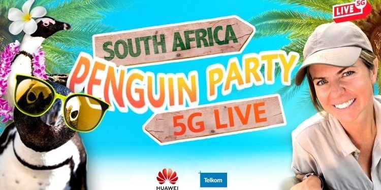 Huawei and Telkom partner for a 5G livestream of African Penguins