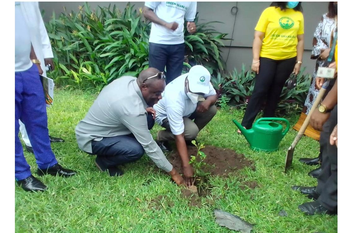 Finance Ministry distributes 150 tree seedlings to mark Green Ghana Project