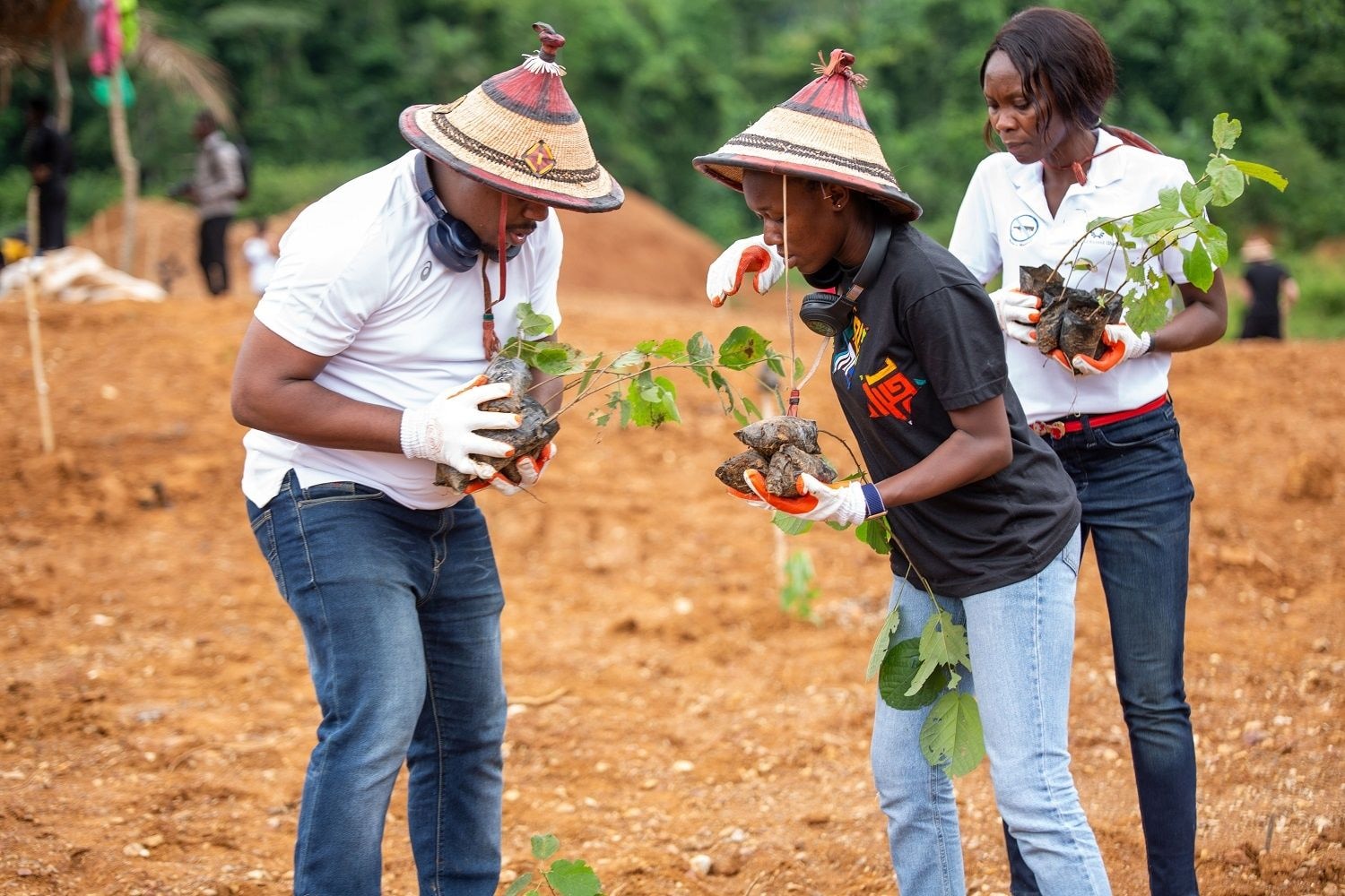 Pernod Ricard restores degraded mined land, plants 2,400 trees