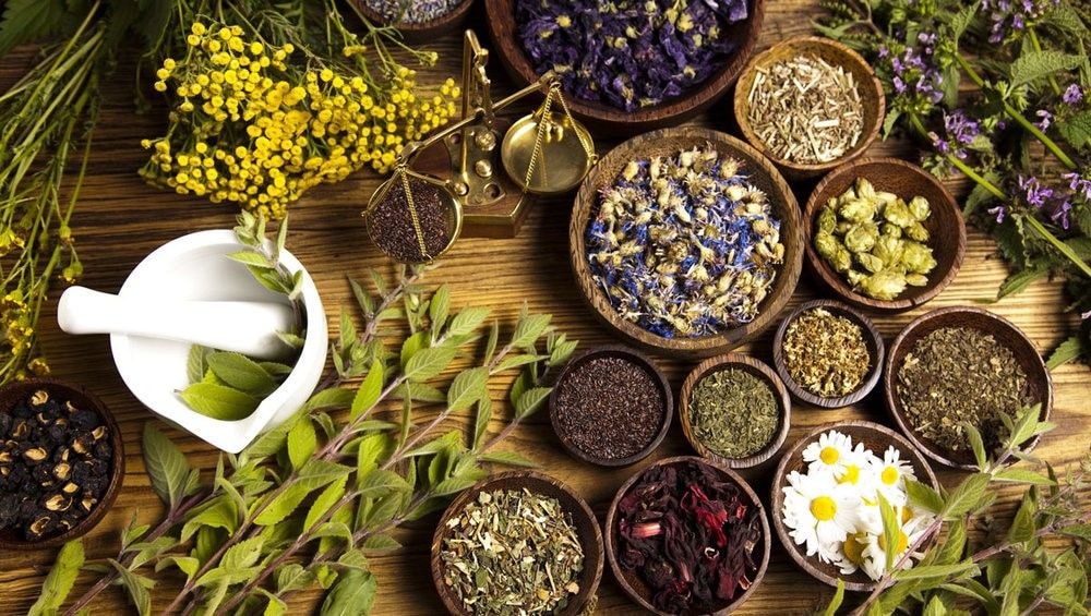 Educated persons more likely to use herbal medicine – study