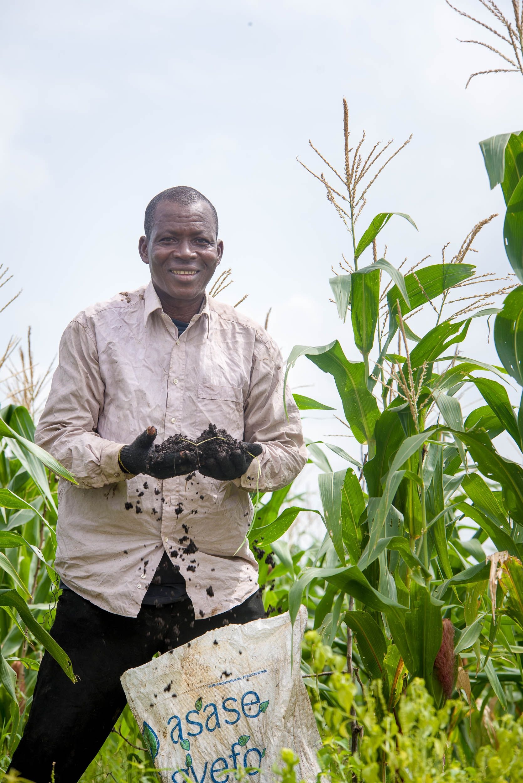 As fertilizer prices soar, farmers turn to Asaase Gyefo organic compost to save livelihoods