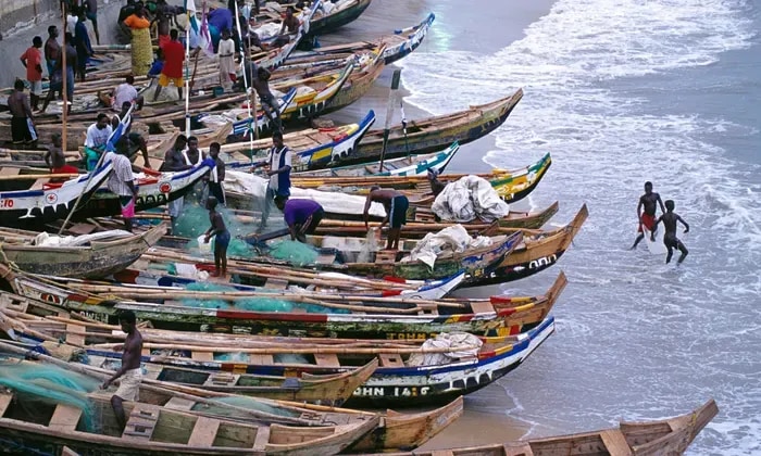 Illegal fishing, overfishing and corruption threaten livelihood -report