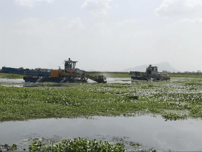  VRA, GMA collaborate to eliminate aquatic weeds affecting power generation