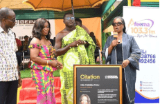 Women Icons:  GEPA honours Theresa Poku of OHU Farms