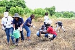 Standard Chartered marks Employee Volunteering Month   