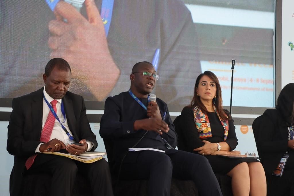 Climate prosperity requires policy consistency and stability in Africa - Amin Adam